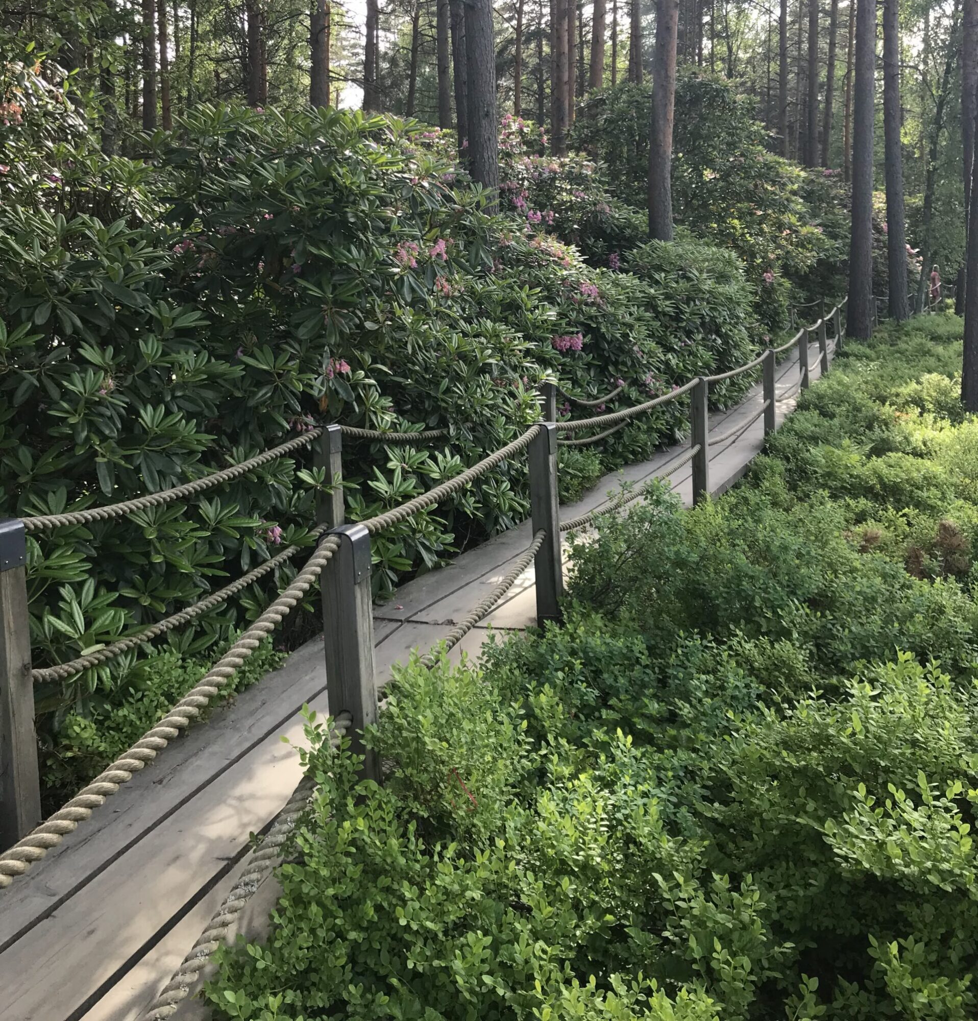 Coaching hinta voi tuntua korkealta, mutta coaching antaa kestäviä työkaluja ja mahdollistaa ammatillisen kehittymisen ja vahvuuksien pääoman kasvun tulevaisuuteen